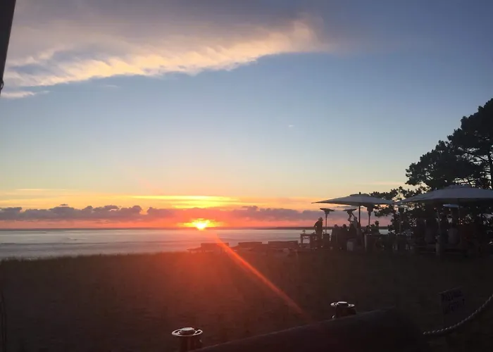 Des T Отель типа 